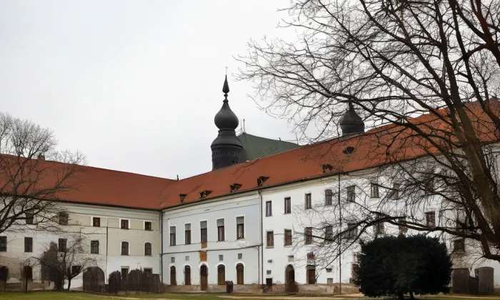 Mendelovo muzeum Masarykovy univerzity – historical