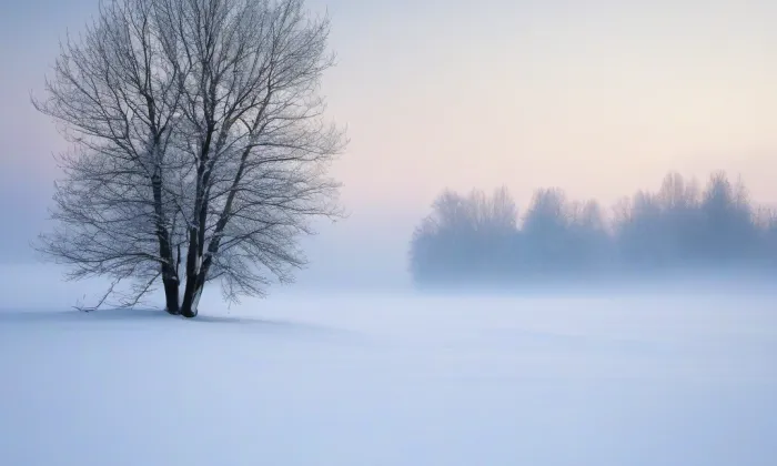 Mendelovo muzeum Masarykovy univerzity – winter