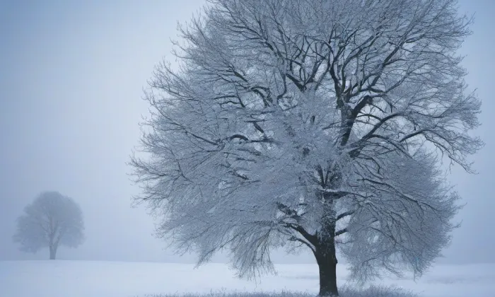 Mikulášská – winter