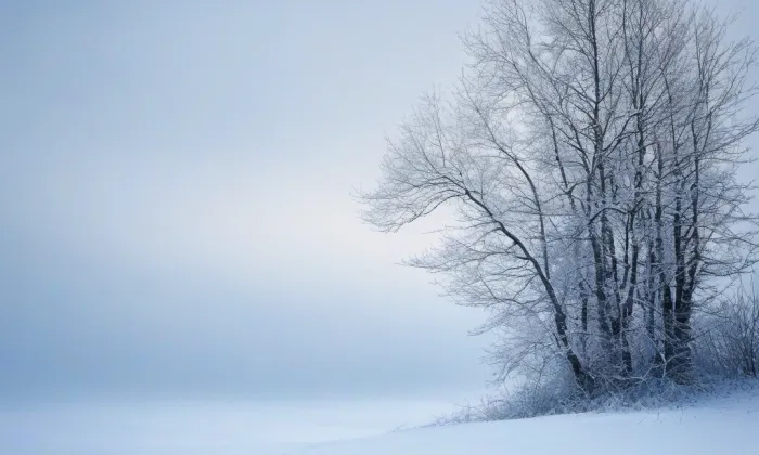 Milčeves – winter