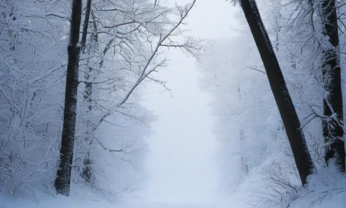 Milady Horákové (Černá Pole (Brno-střed)) – winter