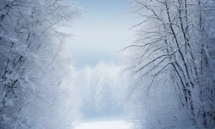 Milady Horákové (Bubeneč) – winter