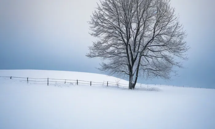 Milešice – winter