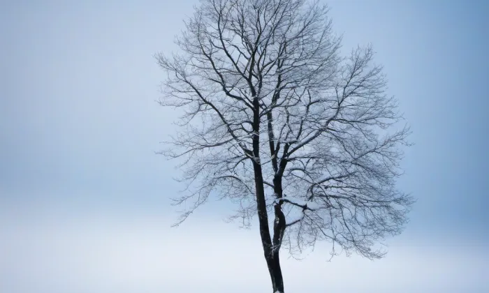 Minoritský klášter v Českém Krumlově – winter