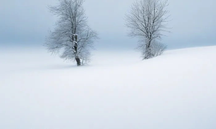 Mochovská – winter