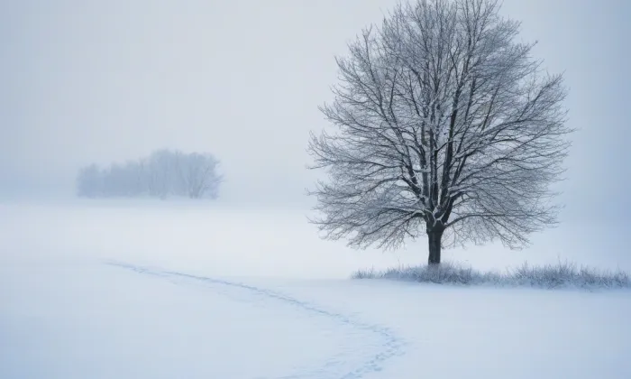 Modrý most – winter