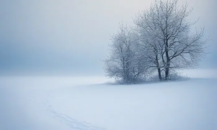 Mohyla na Bílé hoře – winter