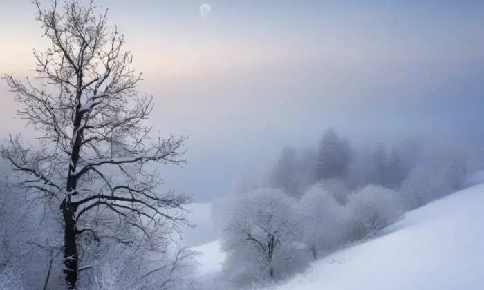 Molitorov – winter