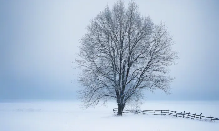 Moravskoostravský hrad – winter