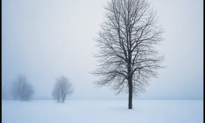 most Fráni Šrámka – winter