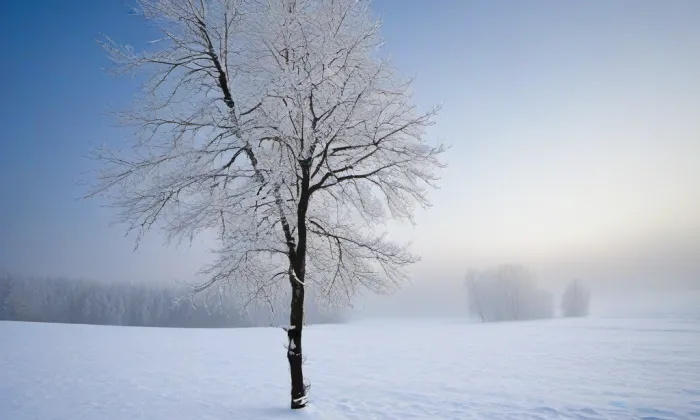 most k zámku Červená Lhota – winter