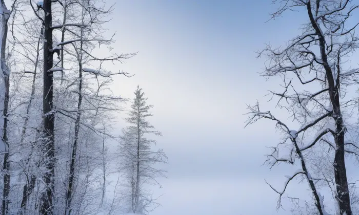 most Lštění - Čtyřkoly – winter