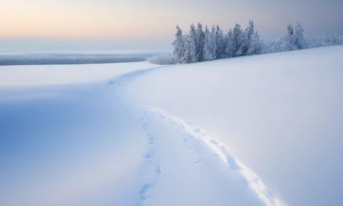 most metra Rajská zahrada-Černý Most – winter