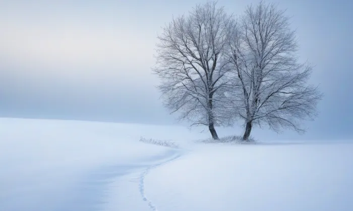 most Na Špici – winter