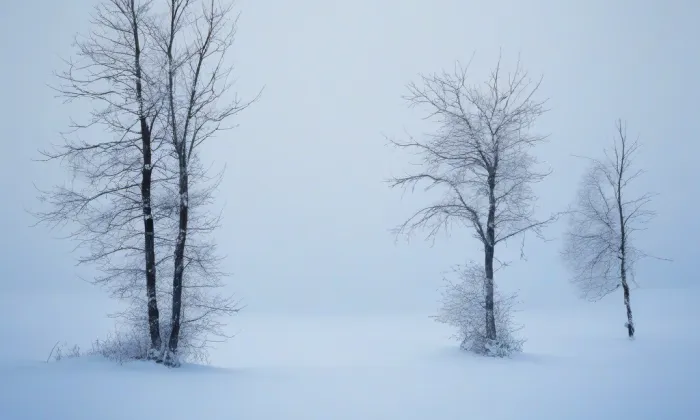 most na Císařskou louku – winter