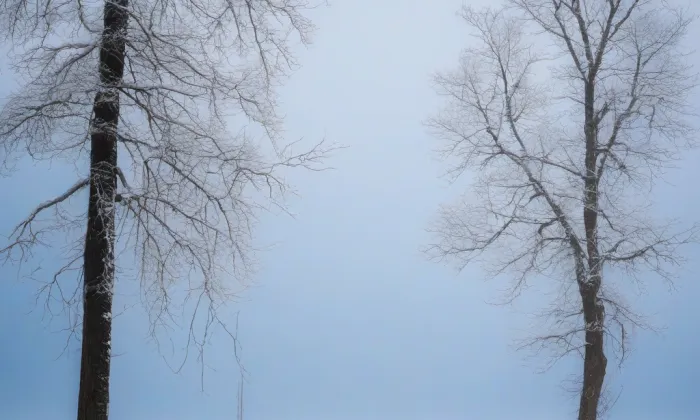 most na Veslařský ostrov – winter