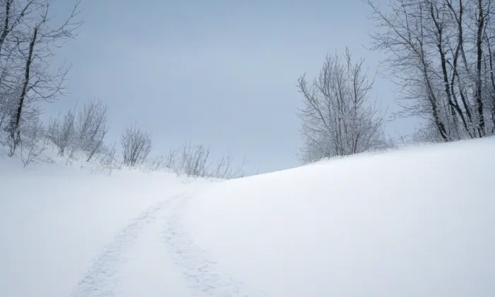 most přes plavební kanál ve Vraňanech – winter