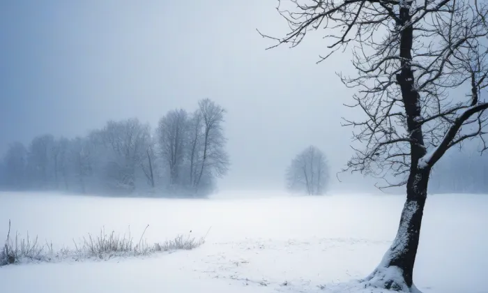 mostek s kapličkou a sochou svatého Jana Nepomuckého – winter
