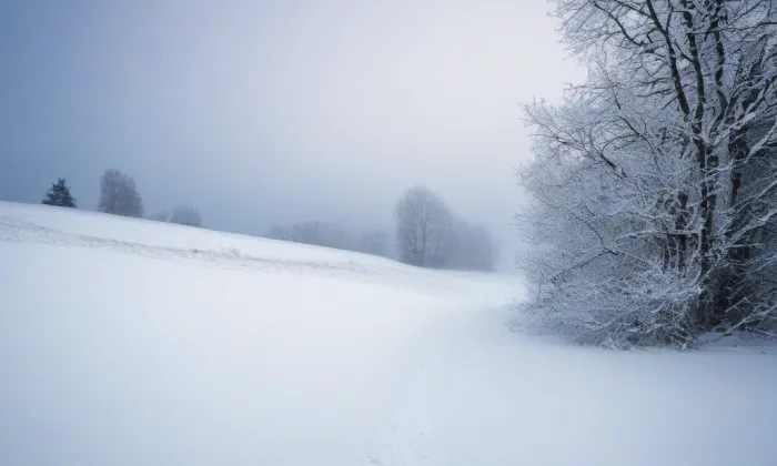 Mozartovy sady – winter