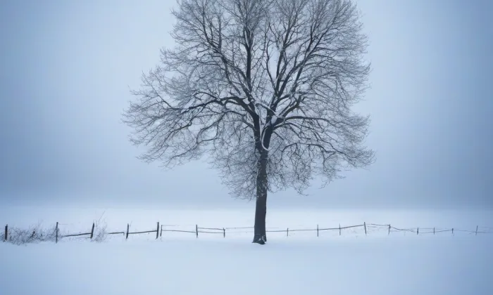 nábřeží Ludvíka Svobody – winter