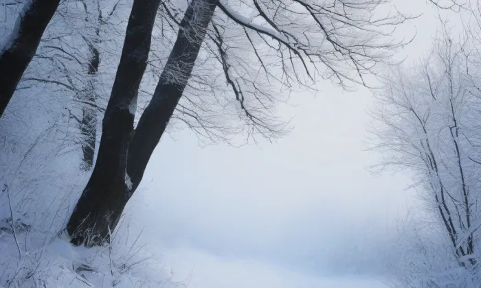 náhrobek Jana Palacha – winter