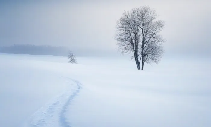 Národní hřbitov Terezín – winter