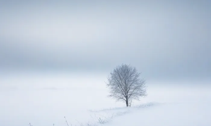 Národní památník na Vítkově – winter
