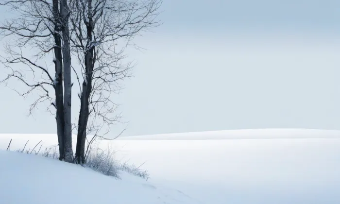Národní památník války – winter