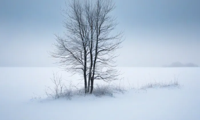 Na Můstku – winter