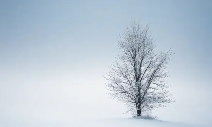 Nová a Kovářská Ulice – winter