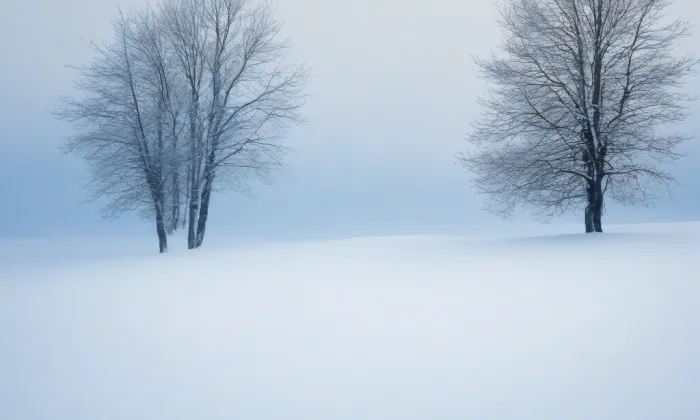 Nový Bohumín – winter