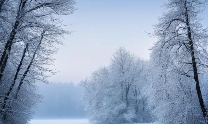 Nové Město nad Metují – winter