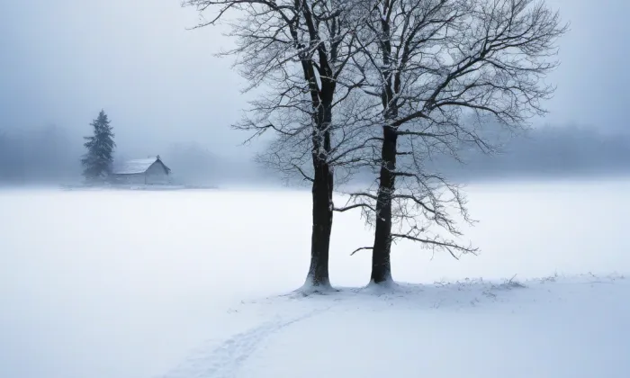 Nová radnice (Moravská Ostrava) – winter