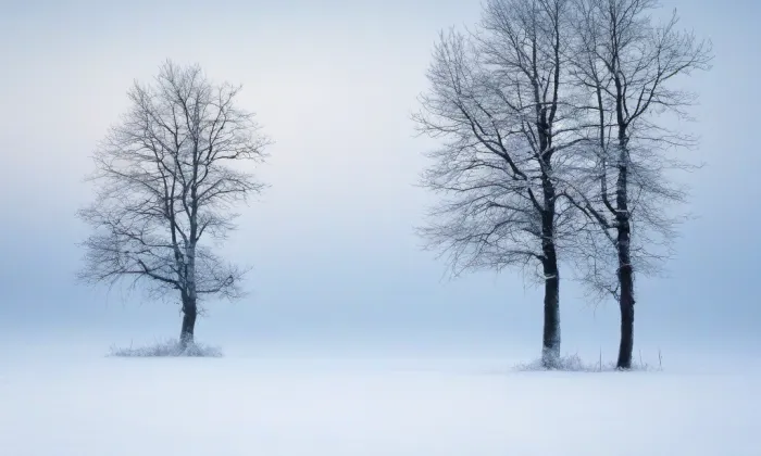 Nová synagoga v Milevsku – winter