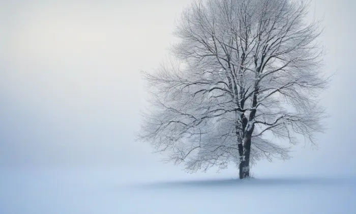 Nová Ves (Jinonice (Praha 13)) – winter