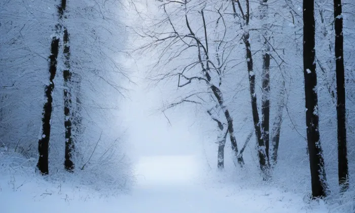 nový zámek Golčův Jeníkov – winter