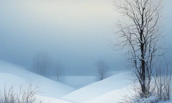 Obřany – winter