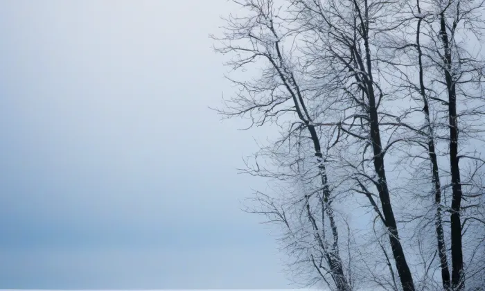 Okříšky – winter