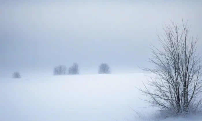 Oparno – winter