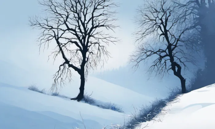 Orlovice – winter