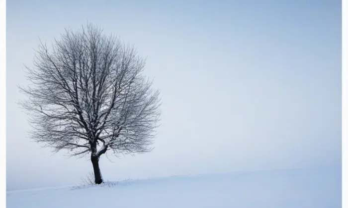 Ostrý (Březno) – winter