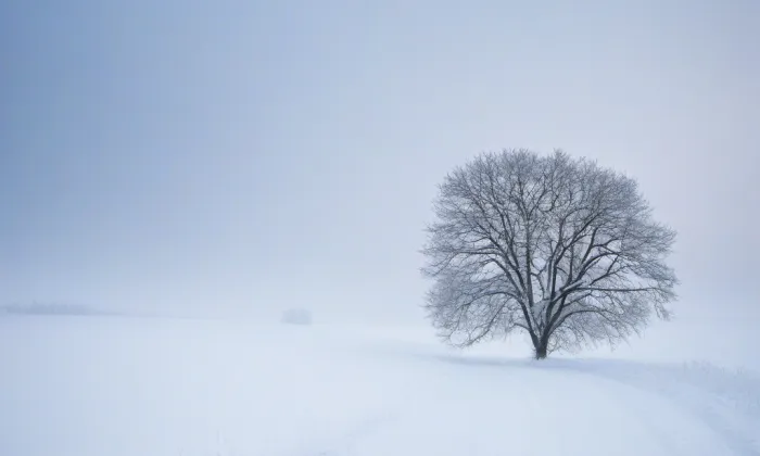 Ostrov – winter