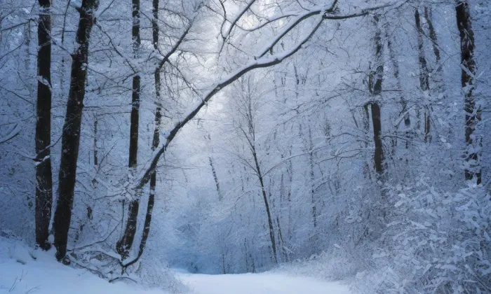 Písečník – winter