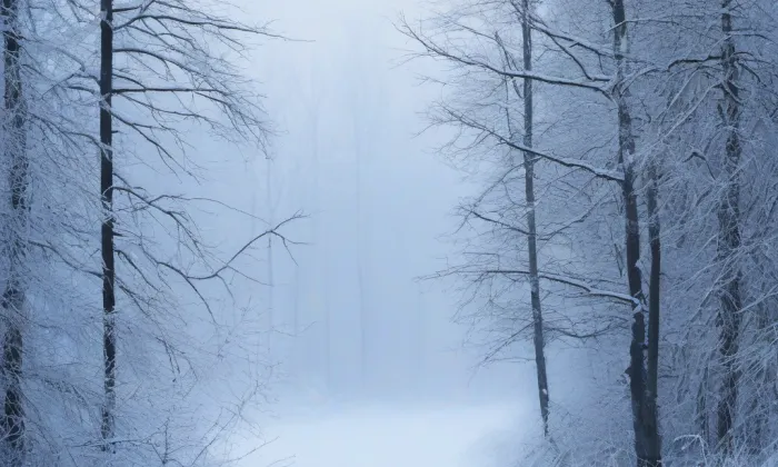 Palác Kokořovských – winter