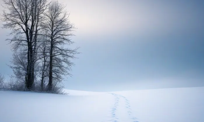 Palác Merkur – winter