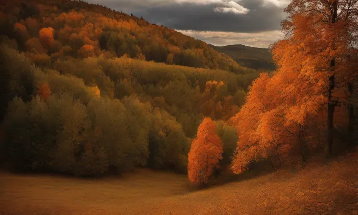 Palác pánů z Hradce – autumn