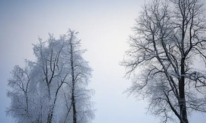 Palác pánů z Hradce – winter