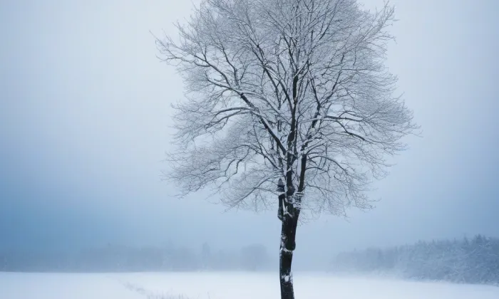Palác U Stýblů – winter