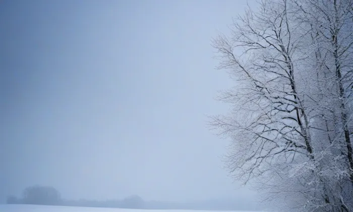 Palackého most – winter