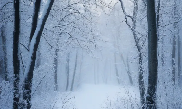 Palladium země české – winter